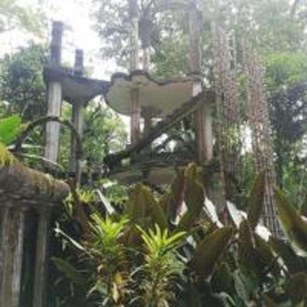 Grann Posada Xilitla Extérieur photo